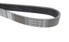 Ремінь генератора Citroen Berlingo/VW Golf III 1.4-2.0i 91- DAYCO 6PK975 (фото 2)