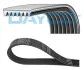 Ремінь П-клиновий Dayco DAYCO 7PK1055S (фото 2)