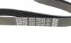 Ремень генератора Fiat Ducato 2.3JTD 02- DAYCO 7PK1076 (фото 3)