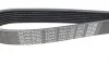 Ремень генератора BMW 3 (E90)/Opel Movano 2.0i/2.5DTI 03- DAYCO 7PK1103 (фото 4)