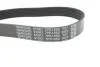 Ремень генератора Toyota Camry 3.5 V6 11-17/ Lexus GS/ IS/ ES 2.5-3.5 05- DAYCO 7PK1550 (фото 4)