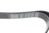 Ремень генератора Toyota Rav 4 2/0 4WD 00- DAYCO 7PK1595 (фото 3)