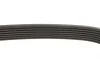 Ремень генератора BMW 5 (E39)/7 (E38) 3.5i/4.4i 93-04/X5(E53) 4.4 i 00-03 DAYCO 7PK1633 (фото 3)