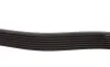 Ремень генератора Toyota Prado 3.0 D-4D 02-10 DAYCO 7PK1809 (фото 2)