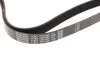Ремень генератора Toyota Prado 3.0 D-4D 02-10 DAYCO 7PK1809 (фото 3)