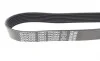 Ремень генератора MB E-class (W212)/S-class (W221) 09- DAYCO 7PK2005 (фото 3)
