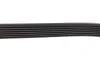 Ремінь генератора Land Rover/Toyota Land Cruiser 120 4.0i/4.6 94- DAYCO 7PK2120 (фото 3)