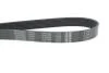 Ремінь генератора VW Touareg 4.2 V8 02-06 DAYCO 7PK2365 (фото 4)