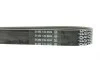 Ремень генератора Ford Transit 2.4 TDCi 00-06 DAYCO 7PK2711 (фото 3)