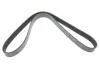 Ремень генератора MB SLR (R199) 04- M155 (8PK1240) DAYCO 8PK1240HD (фото 1)