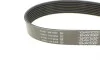 Ремень генератора Mazda CX-7 2.2MZR-CD AWD 09-13 DAYCO 8PK1295 (фото 3)