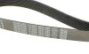 Ремень генератора Mazda CX-7 2.2MZR-CD AWD 09-13 DAYCO 8PK1295 (фото 4)