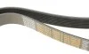 Ремінь генератора Volvo 8700 99-/B6/B7 7.1 91- DAYCO 8PK1300HD (фото 5)