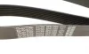 Ремень генератора BMW 3 (F30/F80)/5 (F10)/ X5 (F15/F85)/ X6 (F16/F86) 13- (N55) DAYCO 8PK1390 (фото 3)