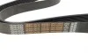 Ремень генератора MB Vario OM904 DAYCO 8PK1425HD (фото 3)
