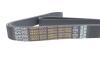 Ремень генератора MB Vario/Atego 2/LK/LN 2 96- OM 904 (8PK1795) DAYCO 8PK1795HD (фото 4)