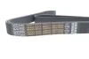 Ремень генератора MB Vario/Atego 2/LK/LN 2 96- OM 904 (8PK1795) DAYCO 8PK1795HD (фото 4)