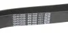Доріжковий пас DAYCO 8PK1840HD (фото 3)