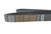 Ремень генератора MB Vario 4.2/4.3 OM904 96-13 (+AC) (8PK2085) DAYCO 8PK2085HD (фото 4)