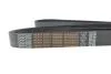 Ремень генератора MB Vario 4.2/4.3 OM904 96-13 (+AC) (8PK2085) DAYCO 8PK2085HD (фото 4)