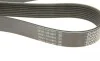 Ремень генератора MB Atego 13- DAYCO 8PK2317HD (фото 6)