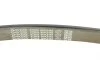 Ремень генератора MB S-class (W140) 91-98 DAYCO 8PK2465 (фото 4)