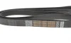 Ремінь генератора VW LT 28-35 2.5 SDI 96-06 (8PK2482) DAYCO 8PK2482HD (фото 3)
