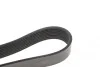 Ремінь генератора VW LT 28-35 2.5 SDI 96-06 (8PK2482) DAYCO 8PK2482HD (фото 4)