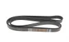 Ремінь генератора VW LT 28-35 2.5 SDI 96-06 (8PK2482) DAYCO 8PK2482HD (фото 5)