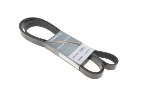 Ремінь генератора VW LT 28-35 2.5 SDI 96-06 (8PK2482) DAYCO 8PK2482HD
