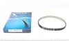 Ремень ГРМ Land Rover Range Rover/Discovery 09- DAYCO 941042