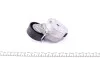 Натяжник ременя генератора Ford Mondeo IV/Peugeot 407 2.0TDCi/2.2 HDi 06- DAYCO APV2424 (фото 4)