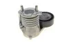 Натяжитель ремня генератора Volvo C30/V40/S40/V50 07- DAYCO APV3019 (фото 3)