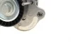 Натяжитель ремня генератора Renault Trafic/Megane 2.0dCi/Master 2.3dCi 06-, (65x29.5) DAYCO APV3179 (фото 5)