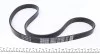 Ремкомплект ГРМ DACIA/NISSAN/RENAULT Duster/Logan/Sandero/Qashqai/Clio/Kangoo/Megane "1,4-1,6 "01>> DAYCO KPV149 (фото 2)