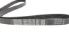 Комплект ременя генератора Fiat Punto 1.3D 03-12/Panda 04-/Ford KA 1.3TDCi 08-16 DAYCO KPV276 (фото 2)