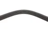 Комплект ременя генератора Fiat Punto 1.3D 03-12/Panda 04-/Ford KA 1.3TDCi 08-16 DAYCO KPV276 (фото 3)