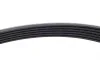 Комплект ременя генератора Citroen ZX/Peugeot 306 1.9D 92-01 (6PK1173) (+AC) DAYCO KPV451 (фото 4)