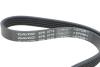 Комплект ремня генератора Mazda 3 2.0 09-14/5 1.8 05-10 (5PK716EE/6PK1310) DAYCO KPV964 (фото 4)
