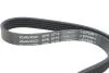 Комплект ремня генератора Mazda 3 2.0 09-14/5 1.8 05-10 (5PK716EE/6PK1310) DAYCO KPV964 (фото 4)
