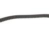Комплект ГРМ Citroen Jumpy/Peugeot Expert 2.0HDi/Fiat Scudo 2.0 JTD 99-06 (25.4x144z) DAYCO KTB319 (фото 10)