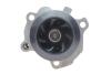 Комплект ГРМ + помпа Skoda Octavia/VW Golf IV 1.9 TDI/SDI 96-05 (25x141z) DAYCO KTBWP4290 (фото 7)