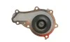 Комплект пасу ГРМ з насосом Citroen Berlingo/Jumpy DAYCO KTBWP9590 (фото 6)