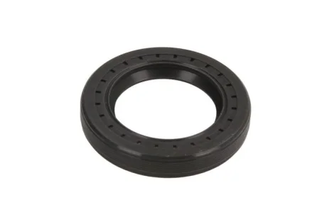 Елемент насосу Common Rail DELPHI DIESEL 7190234