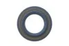 Сальник ТНВД DP210/DP310/DPS/DP200 (20x35x5.3) Delphi 7174-856-12B1 (фото 1)