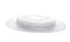 Диск тормозной (задний) (к-кт 2 шт) Ford Focus 98-04/Fiesta 05- (253x10)(с покрыт.) (полный) Delphi BG3054C (фото 3)