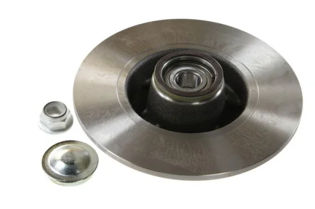 Диск тормозной (задний) Renault Megane II 03- (240х8) (+ABS) (с подшипником) Delphi BG9028RS
