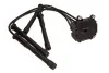Котушка запалювання Renault Kangoo 1.2 16V 01- (к-кт) (+ проводи запалювання) Delphi CE2001712B1 (фото 1)