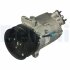 Компресор кондиціонеру Delphi CS20303-12B1 (фото 1)