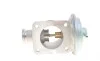 Клапан EGR BMW 3 (E46)/5 (E39)/X5 (E53) 2.0D-3.0D M47/M57 99-05 Delphi EG1046412B1 (фото 2)
